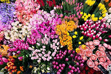 《英雄无敌：上古纪元》新情报 有DLC计划无微交易